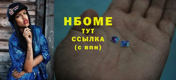стаф Ладушкин