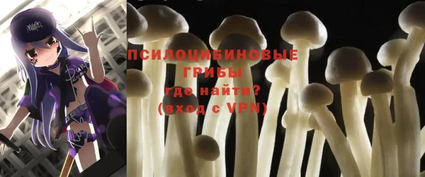2c-b Кукмор
