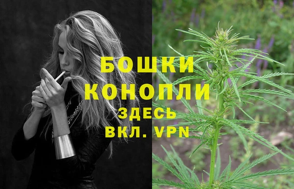 стаф Ладушкин