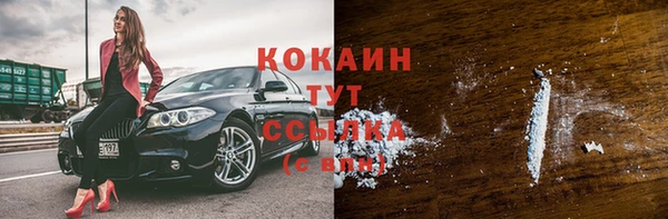 шишки Кулебаки