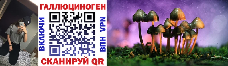 Псилоцибиновые грибы Magic Shrooms  Сысерть 