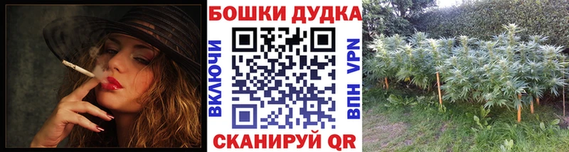 Конопля индика  продажа наркотиков  Сысерть 